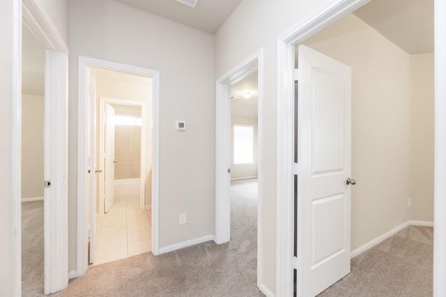 24922 Scarlatti Cantata Drive, Katy, TX 77493