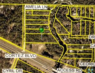 AMELIA LANE, Dade City, FL 33523