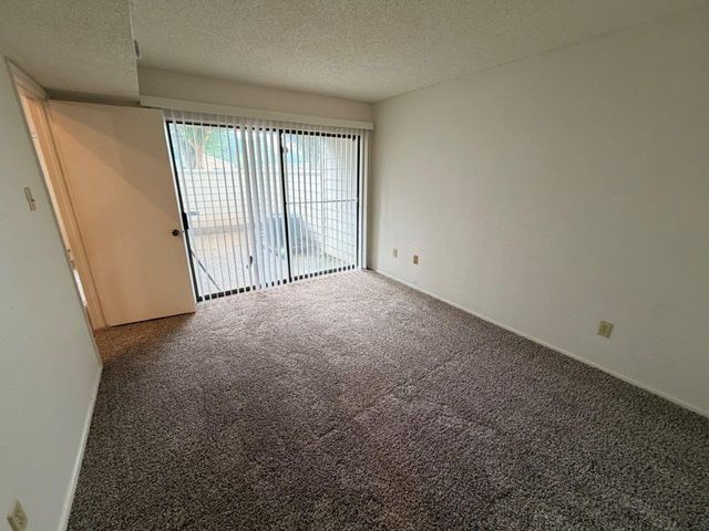 11983 Bob White Drive 845, Houston, TX 77035