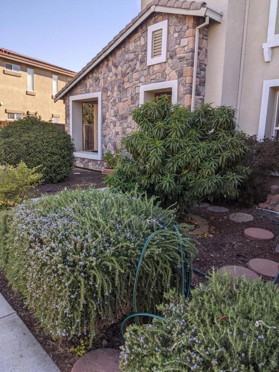 Image 12 of property listing at 15220 Torrey Pines Circle, Chowchilla, CA 93610