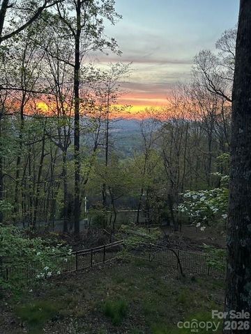 11 Poplar Drive, Mills River, NC 28759