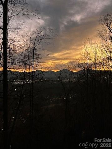 11 Poplar Drive, Mills River, NC 28759