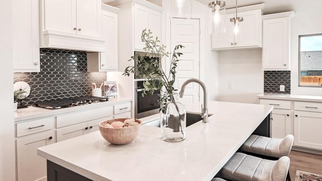 118 Prickly Poppy LOOP, Kyle, TX 78640
