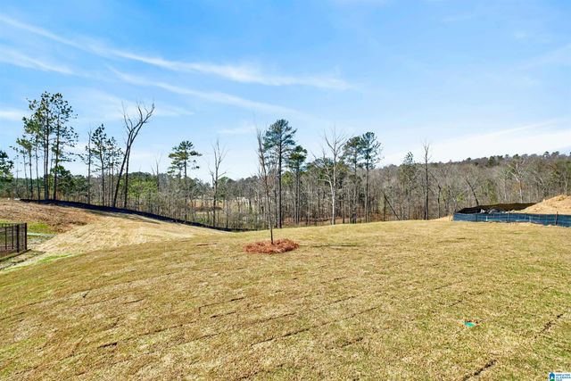 3446 BLACKRIDGE CIRCLE, Hoover, AL 35244