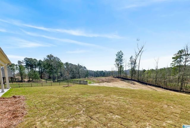 3446 BLACKRIDGE CIRCLE, Hoover, AL 35244