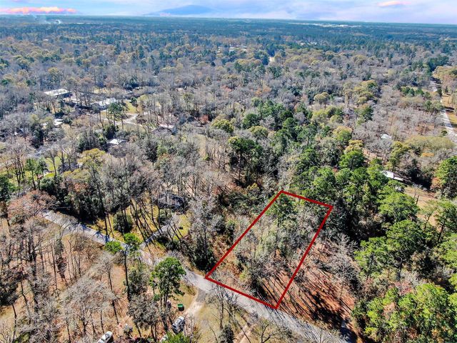 10884 Champion Village Drive, Conroe, TX 77303