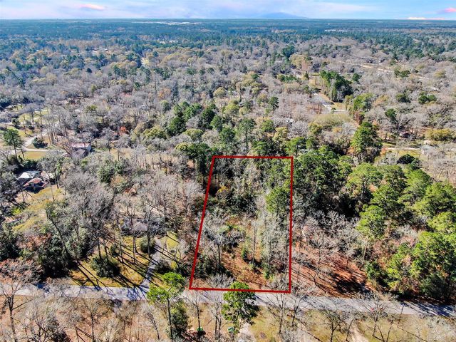 10884 Champion Village Drive, Conroe, TX 77303