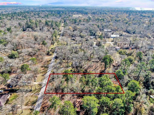 10884 Champion Village Drive, Conroe, TX 77303