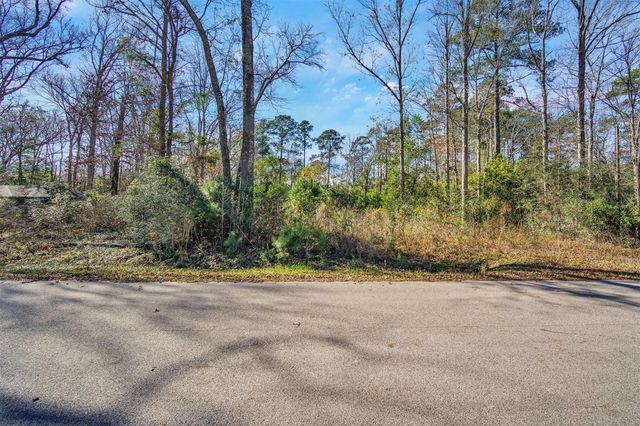 10884 Champion Village Drive, Conroe, TX 77303