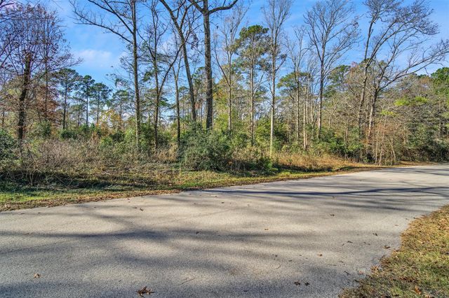 10884 Champion Village Drive, Conroe, TX 77303
