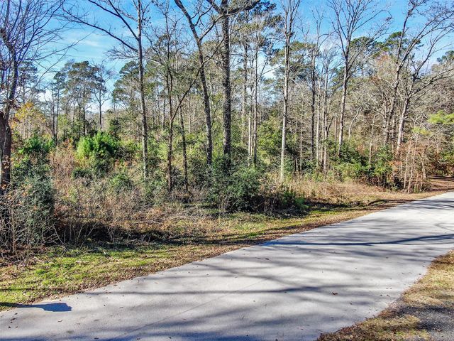 10884 Champion Village Drive, Conroe, TX 77303