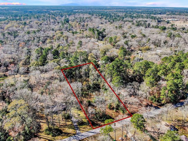 10884 Champion Village Drive, Conroe, TX 77303