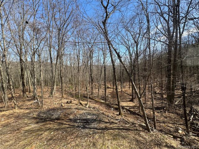 7 Fern Trail, Wurtsboro, NY 12790