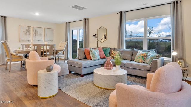 11 Morsel Court, Johnson City, TN 37615