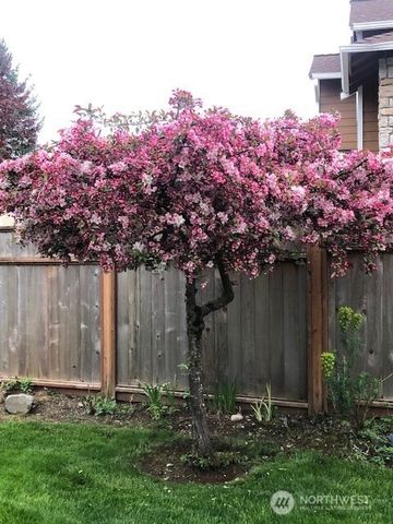 27921 227th Court SE, Maple Valley, WA 98038