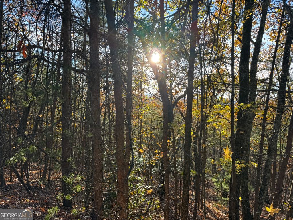 0 Highlands Drive LOT 24, Clarkesville, GA 30523 — photo 4