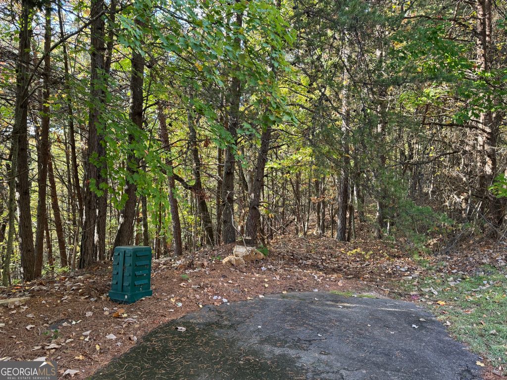 0 Highlands Drive LOT 24, Clarkesville, GA 30523 — photo 5