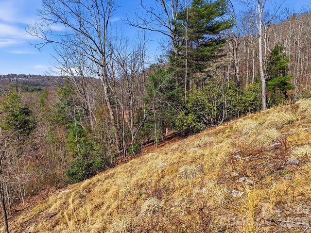 367 Curtain Bluff, Hendersonville, NC 28791