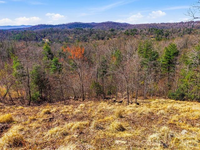367 Curtain Bluff, Hendersonville, NC 28791