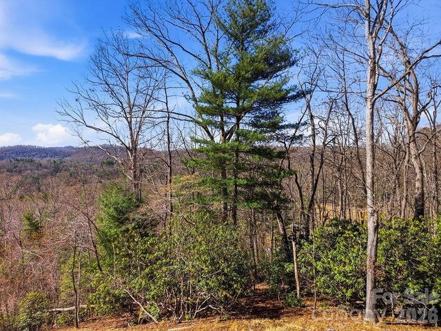 367 Curtain Bluff, Hendersonville, NC 28791