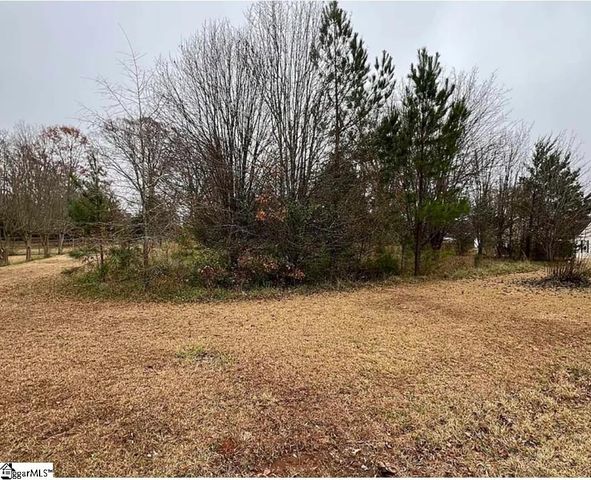 00 Blakely Avenue, Laurens, SC 29360