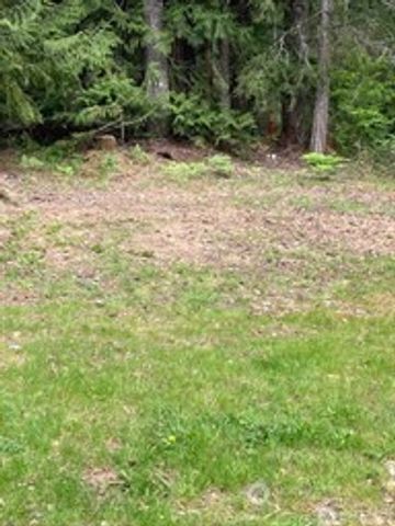 201 N Duckabush Drive E, Hoodsport, WA 98548