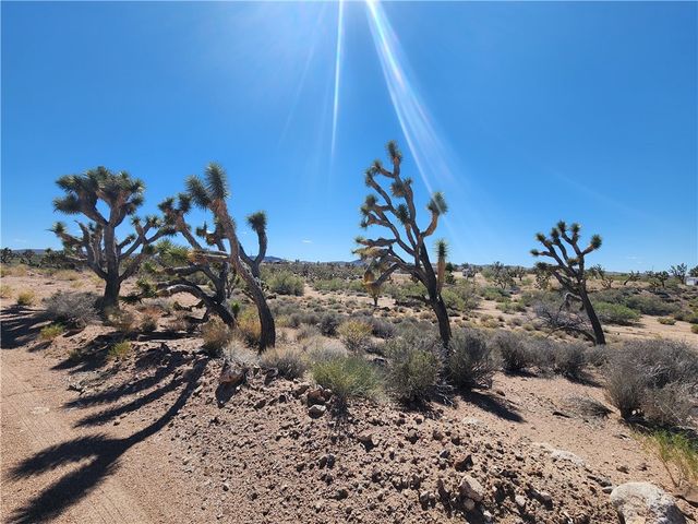 27195 N Pear Avenue, Meadview, AZ 86444