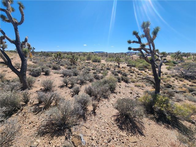 27195 N Pear Avenue, Meadview, AZ 86444