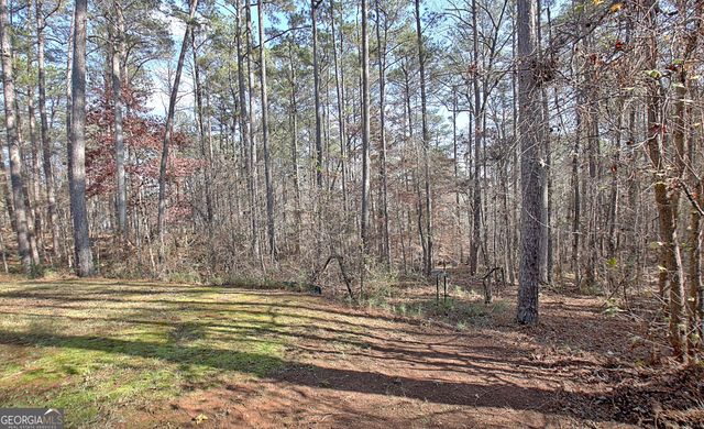 12 N Alexander Creek Road, Newnan, GA 30263