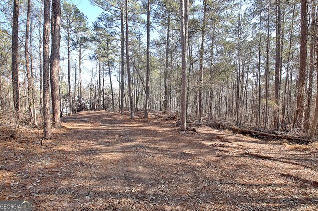 12 N Alexander Creek Road, Newnan, GA 30263