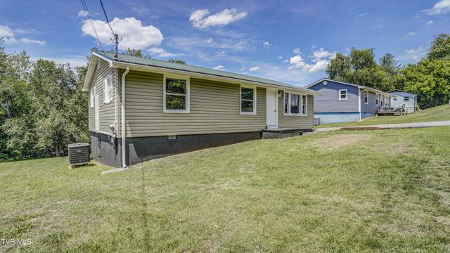273 Riverview Drive, Bluff City, TN 37618