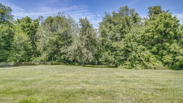 273 Riverview Drive, Bluff City, TN 37618