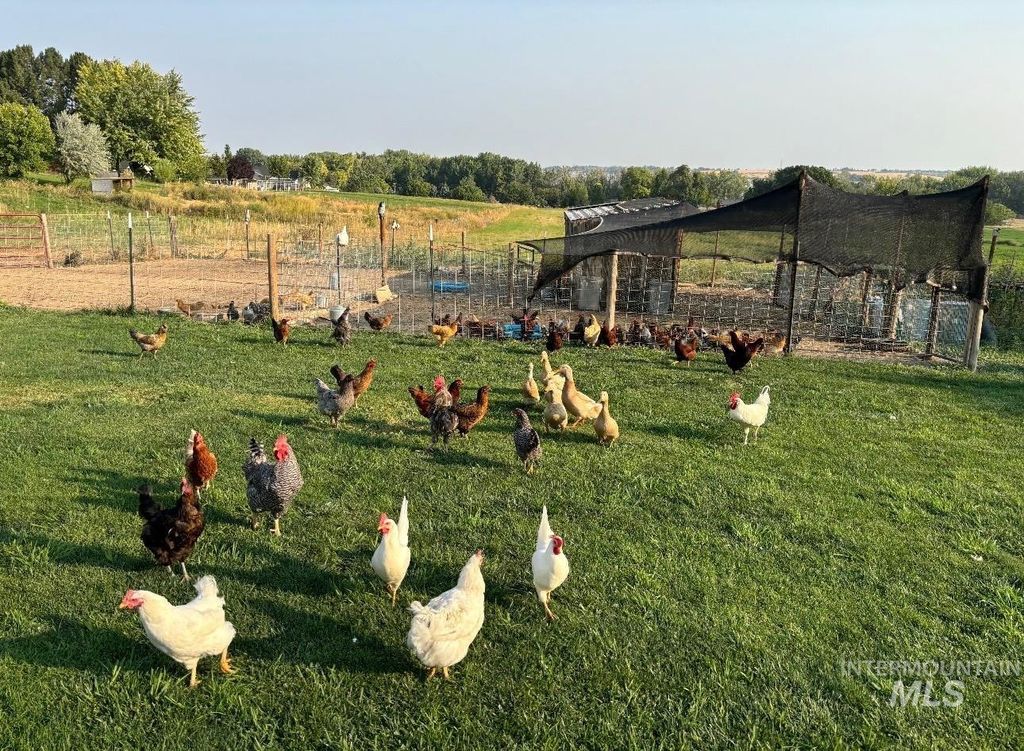 10576 Duck Ln, Nampa, ID 83686 photo 10