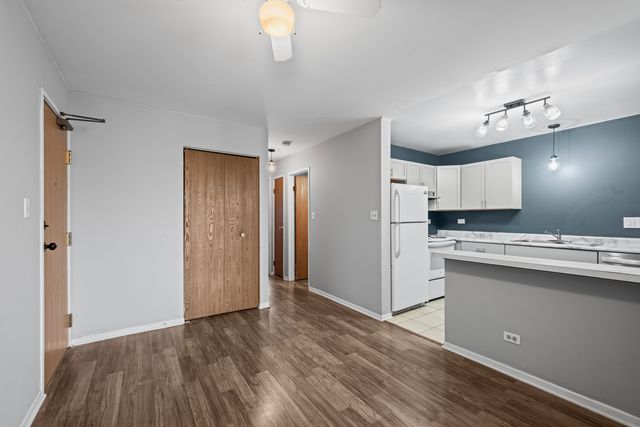 1324 N Geneva Drive 3B, Palatine, IL 60074