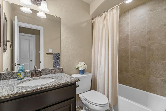 429 Holly Forest Drive, Conroe, TX 77384