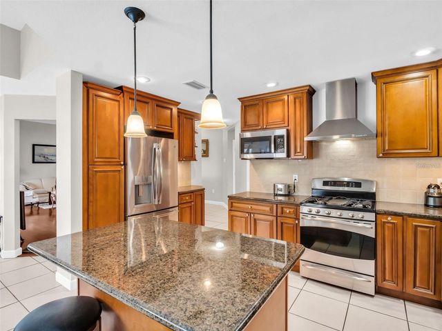 1070 S POINTE ALEXIS DRIVE, Tarpon Springs, FL 34689