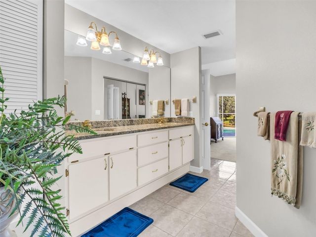 1070 S POINTE ALEXIS DRIVE, Tarpon Springs, FL 34689