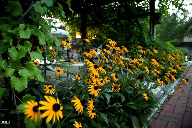 807 W Trinity Avenue Apt 130, Durham, NC 27701