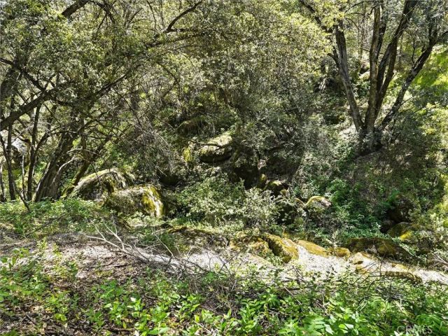 49628 Stillmeadow, Oakhurst, CA 93644