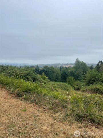 47 Alexander Road, Raymond, WA 98577