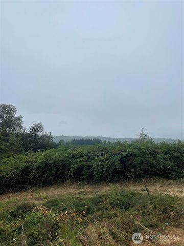 47 Alexander Road, Raymond, WA 98577