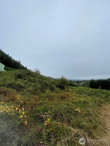 47 Alexander Road, Raymond, WA 98577