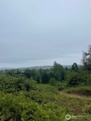 47 Alexander Road, Raymond, WA 98577