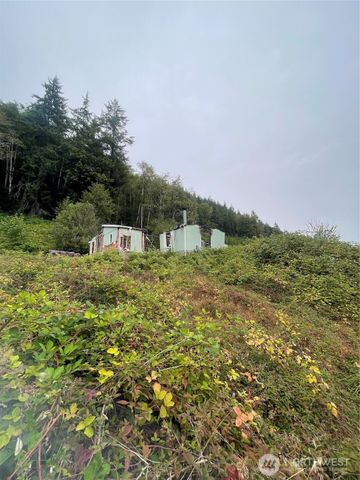 47 Alexander Road, Raymond, WA 98577