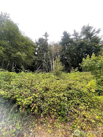 47 Alexander Road, Raymond, WA 98577