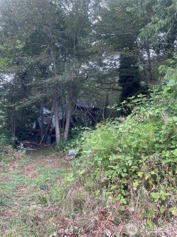 47 Alexander Road, Raymond, WA 98577