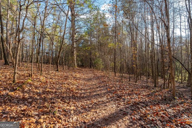 205 Hidden Brook Trail, Newnan, GA 30263