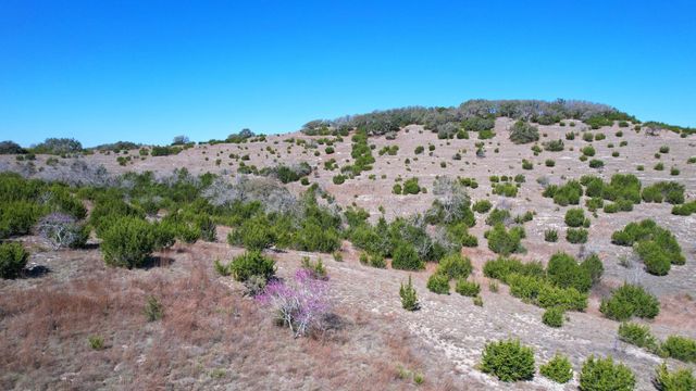 Lot 211 Majestic Hills DR, Blanco, TX 78606