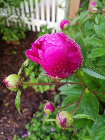 5421 Trempealeau Trail, Madison, WI 53705