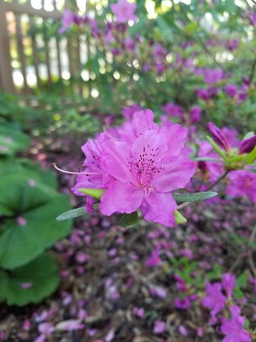 5421 Trempealeau Trail, Madison, WI 53705